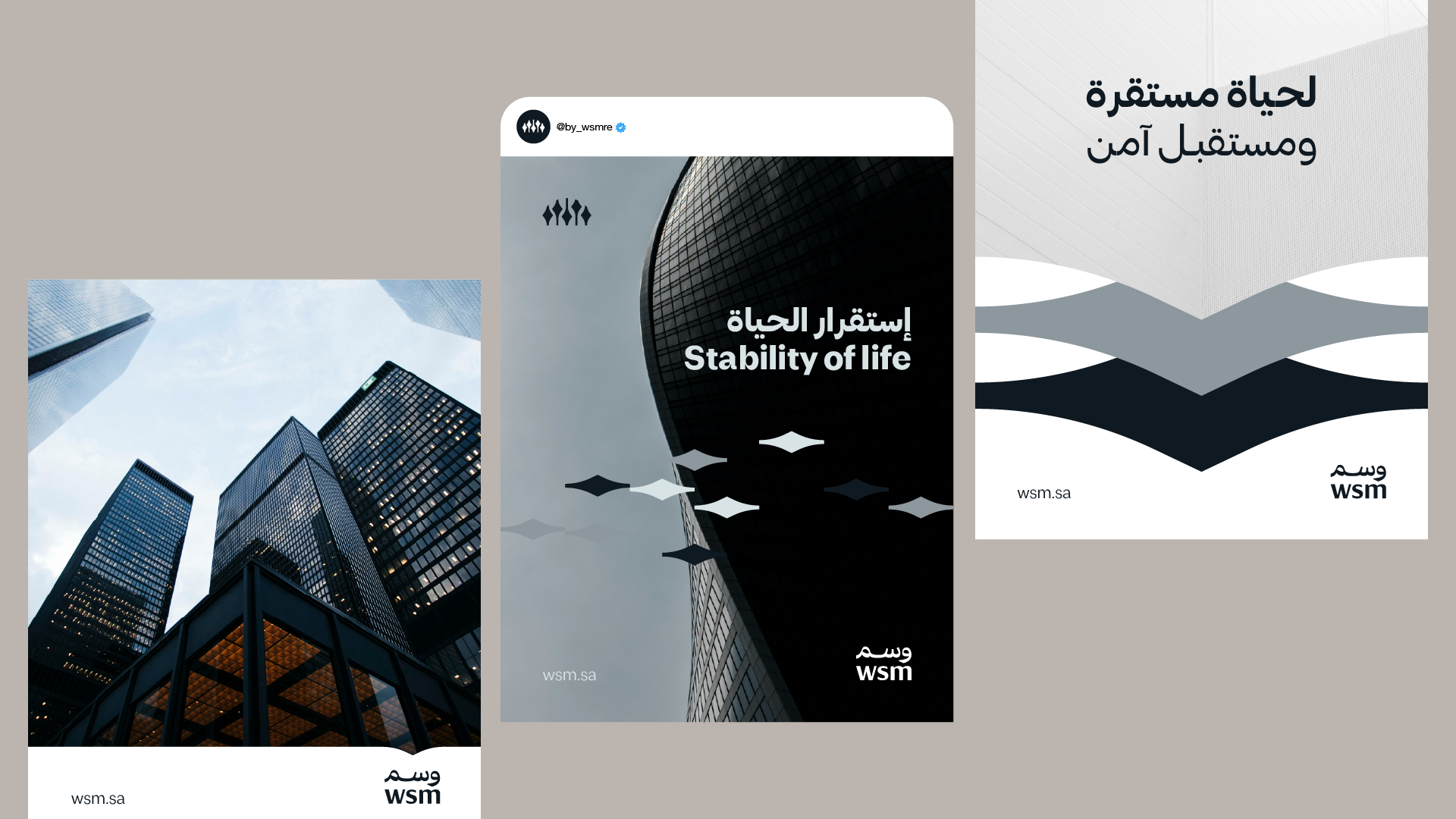 صورة من المشروع